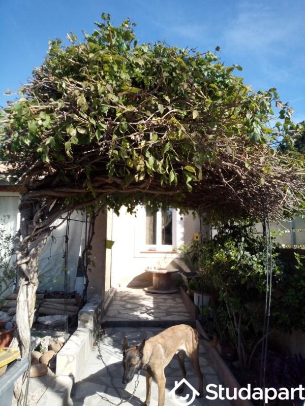 Chambre - 11 m² - 1 pièce