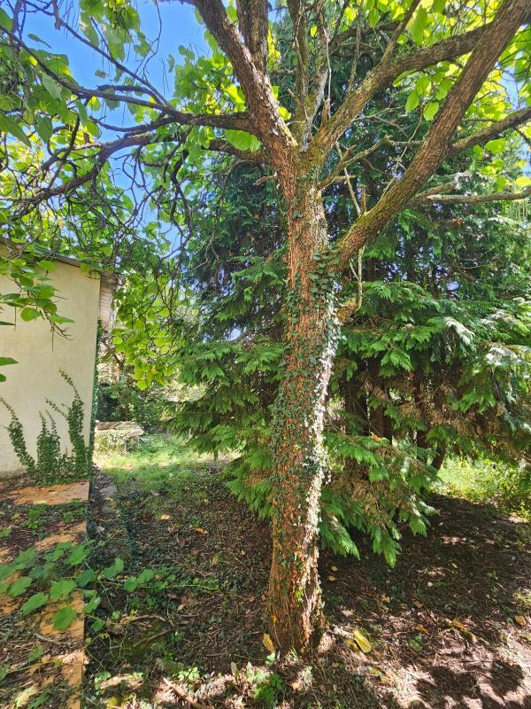 Maison - 73 m² - 3 pièces