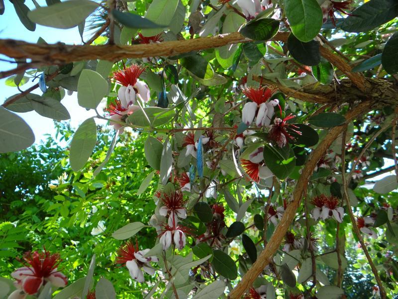 Maison - 175 m² - 8 pièces