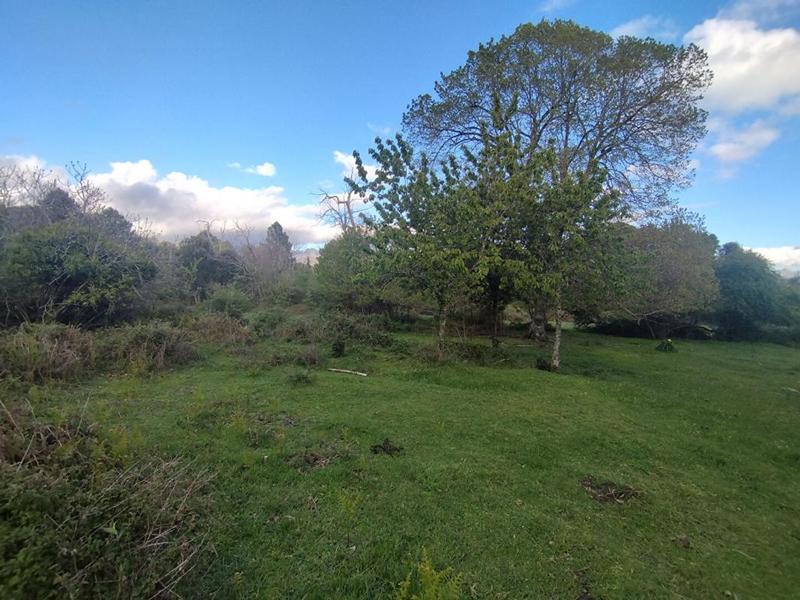 Terrain constructible - 3 000 m²