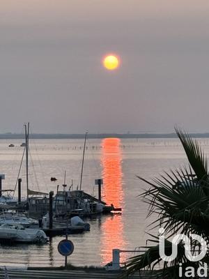 Appartement - 54 m² - 2 pièces