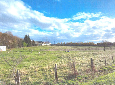 Terrain - 28 000 m²