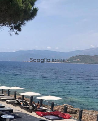 Local commercial - 1 000 m²