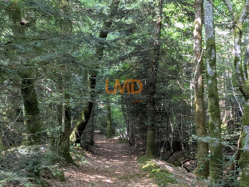 Maison en pierre - 60 m² - 2 pièces