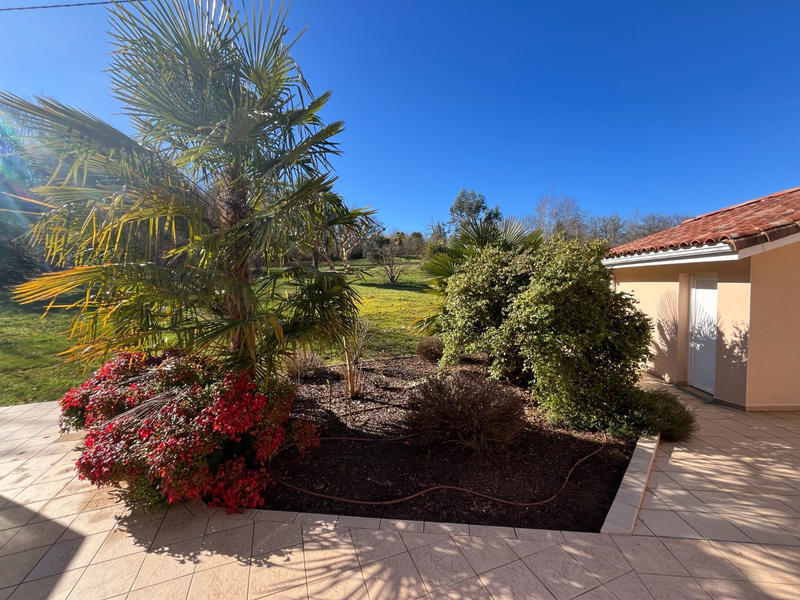 Viager - Propriété - 336 m² - 12 pièces