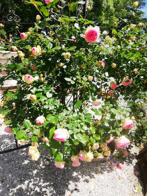 Les Jardins de l'Ange