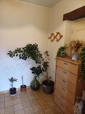 Maison de village - 85 m² - 3 pièces