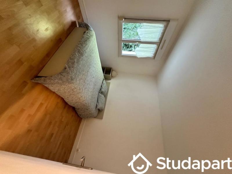 Appartement - 45 m² - 1 pièce