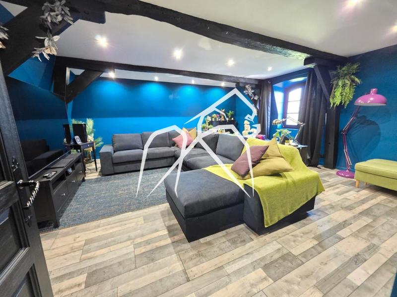 Maison ancienne - 323 m² - 8 pièces