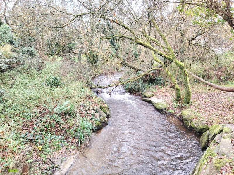 Maison - 46 m² - 2 pièces