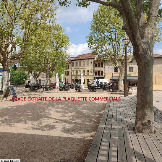 Appartement - 50 m² - 2 pièces