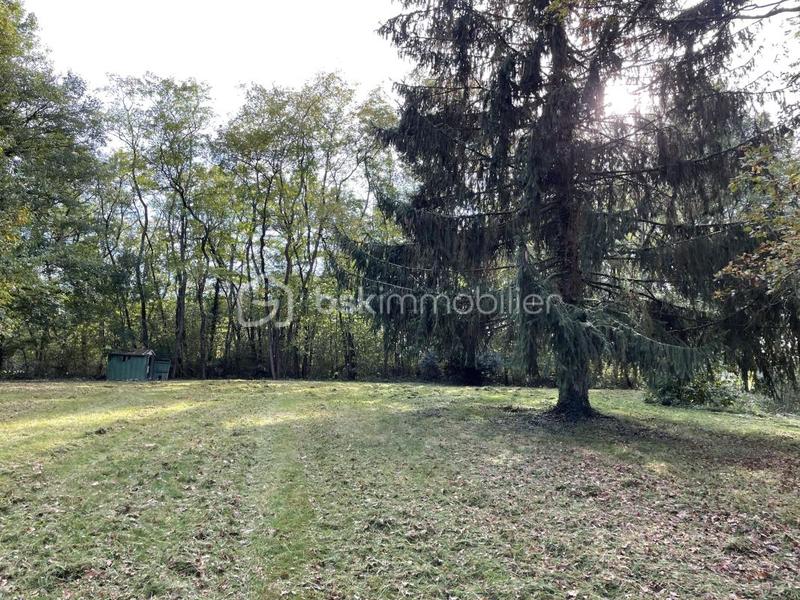 Maison ancienne - 70 m² - 4 pièces