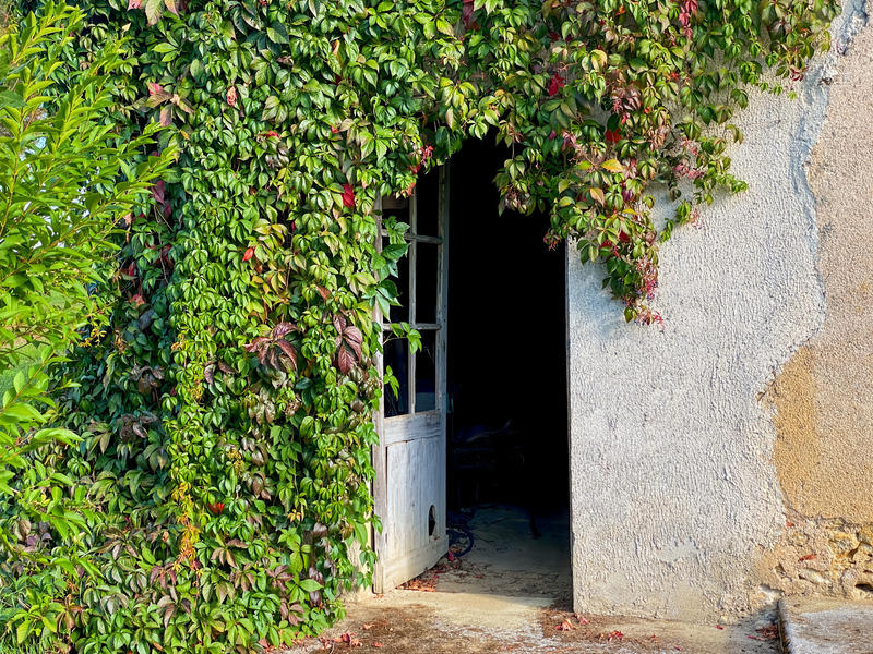 Demeure - 315 m² - 9 pièces