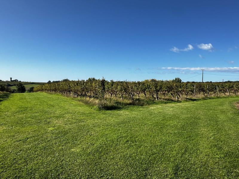 Maison traditionnelle - 181 m² - 9 pièces