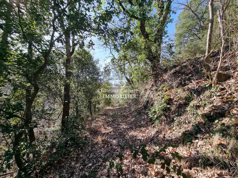 Terrain de loisirs - 23 770 m²