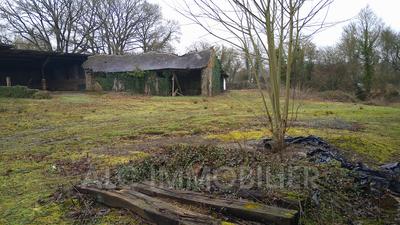 Ferme - 79 m² - 4 pièces