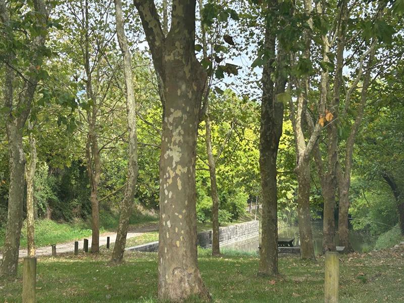 Maison - 89 m² - 5 pièces