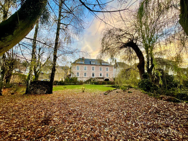 Hôtel particulier - 452 m² - 19 pièces