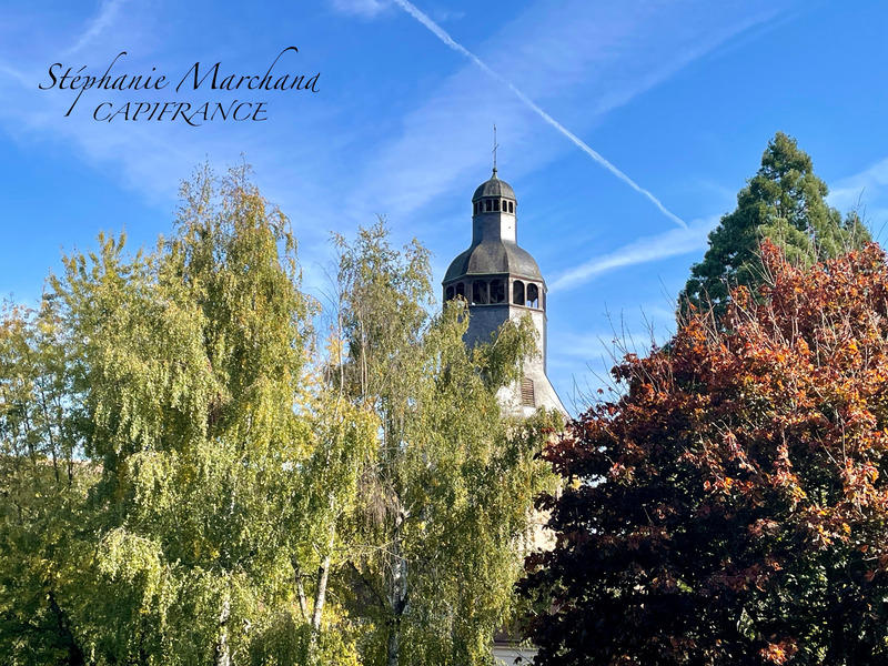 Hôtel particulier - 452 m² - 19 pièces