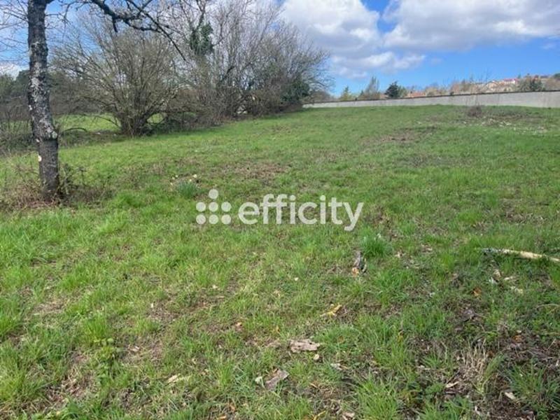 Terrain - 16 910 m²