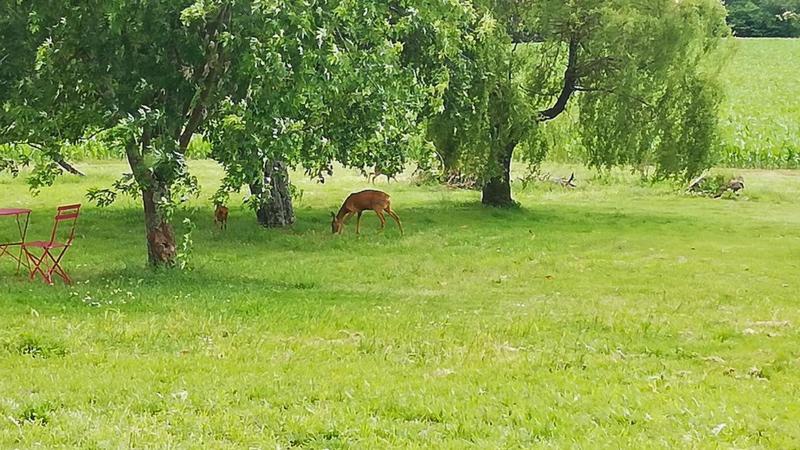 Maison - 226 m² - 10 pièces