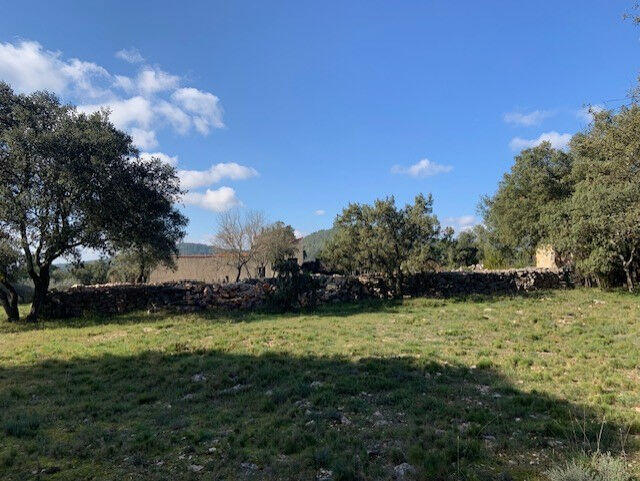 Maison - 220 m² - 7 pièces