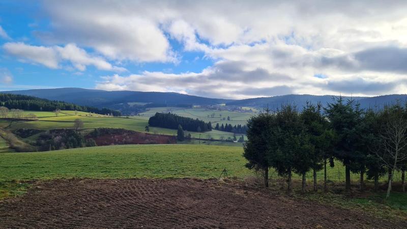 Maison - 175 m² - 5 pièces