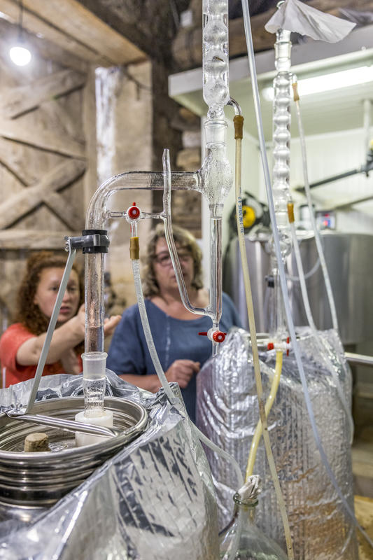 Rendez-vous au jardin des roses
