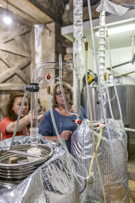 Rendez-vous au jardin des roses
