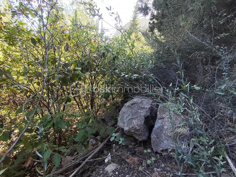 Terrain agricole - 1 625 m²