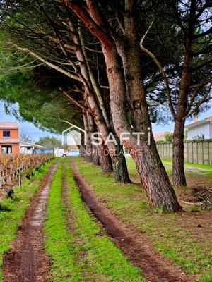 Maison - 200 m² - 7 pièces