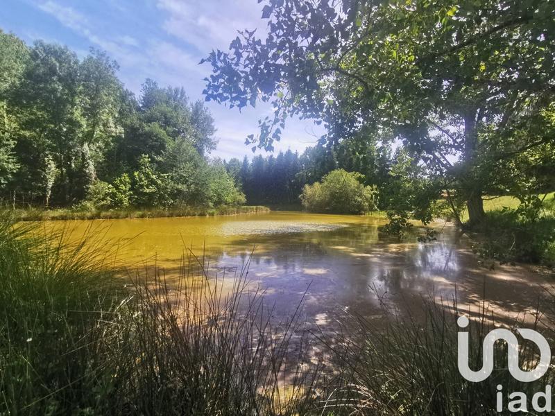 Maison de campagne - 210 m² - 8 pièces