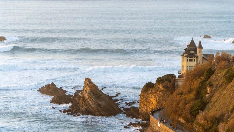 Studio - 30 m² - 1 pièce