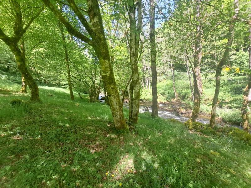 Moulin - 230 m² - 6 pièces