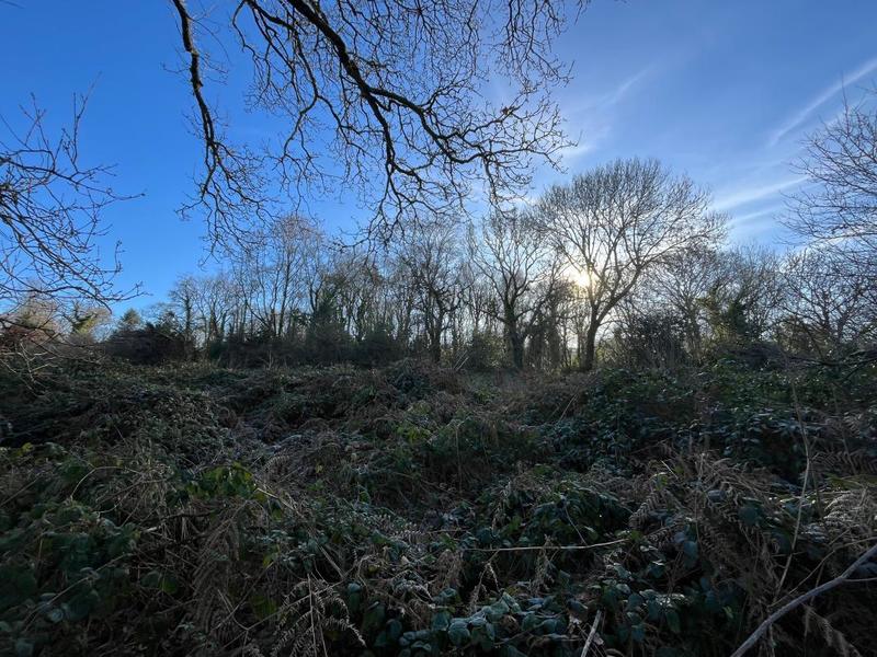 Terrain constructible - 1 397 m²