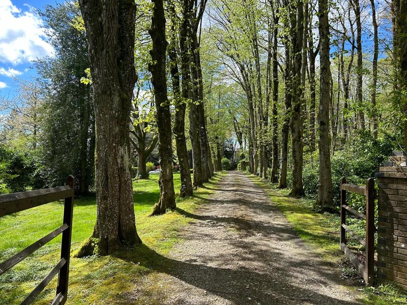 Propriété - 202 m² - 7 pièces