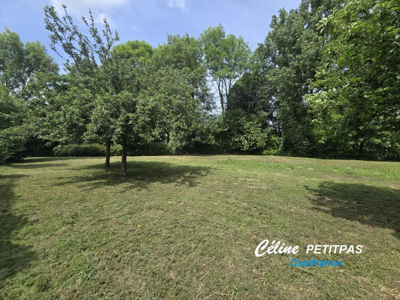 Terrain constructible - 1 230 m²