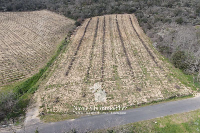 Terrain agricole - 7 731 m²