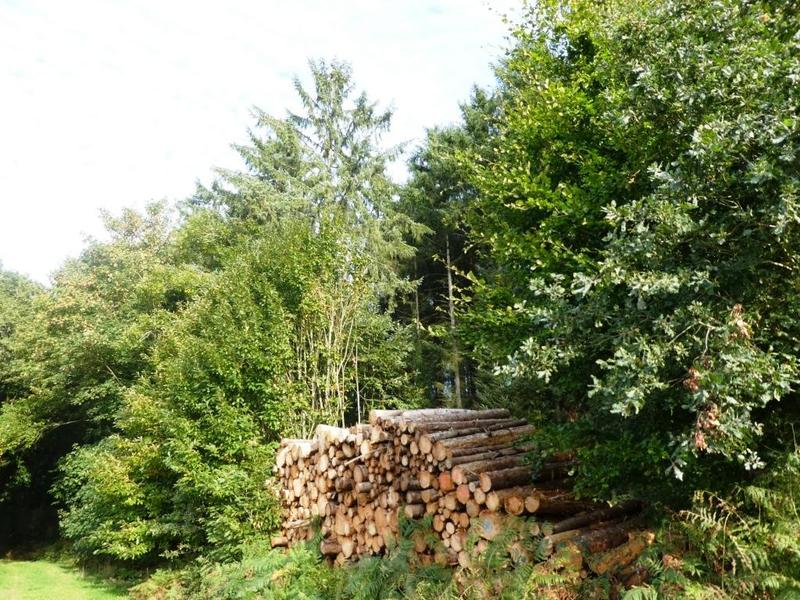 Terrain agricole - 13 280 m²