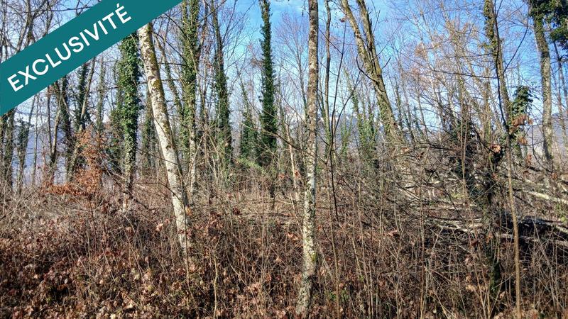 Terrain agricole - 2 550 m²