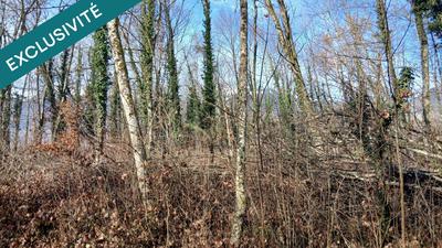 Terrain agricole - 2 550 m²