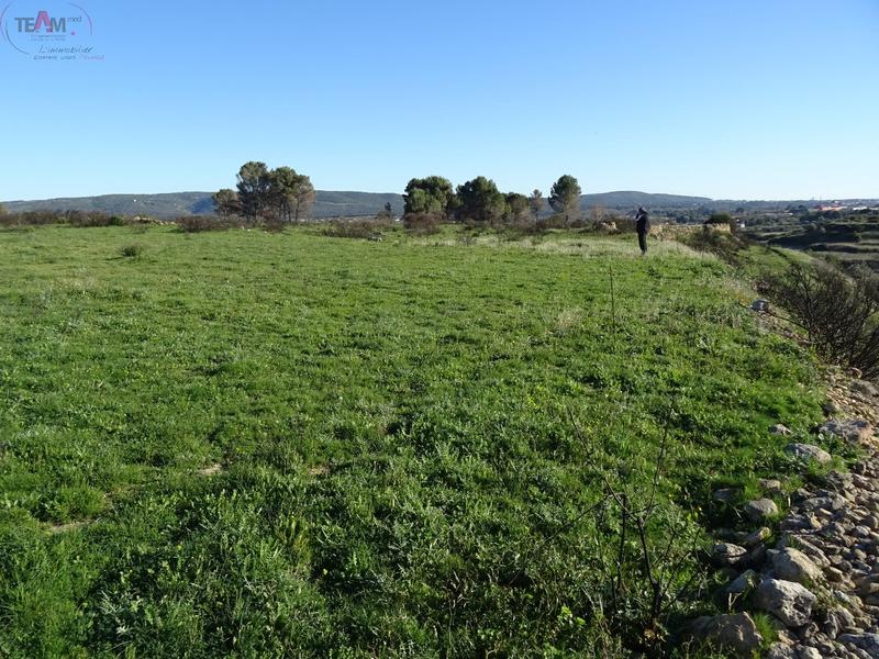 Terrain agricole - 4 720 m²