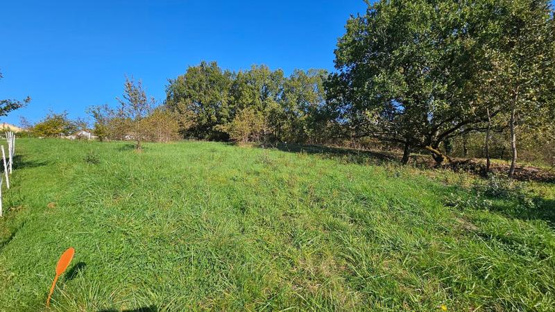 Terrain - 2 000 m²