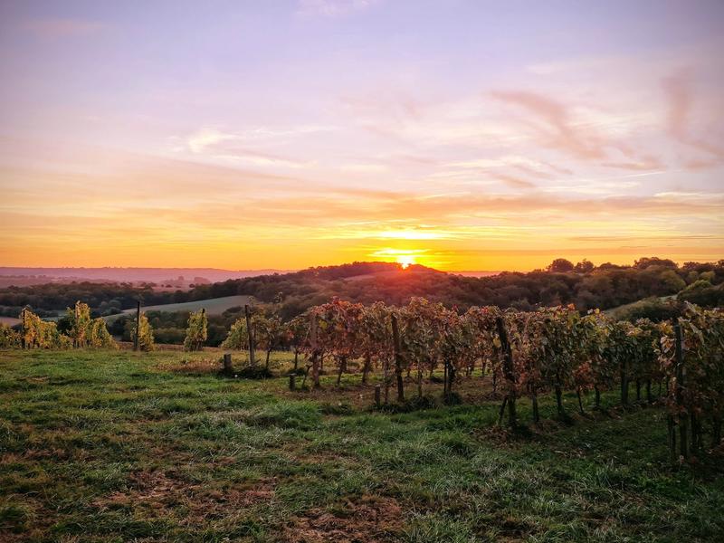 Les printemps d'Ostara, au Domaine Damiens