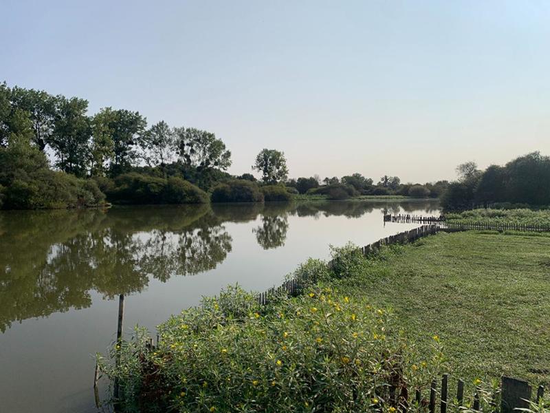 Maison - 30 m² - 2 pièces