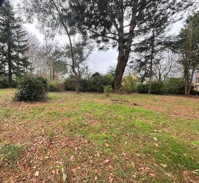 Terrain constructible - 1 130 m²