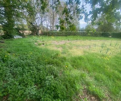 Terrain constructible - 1 000 m²