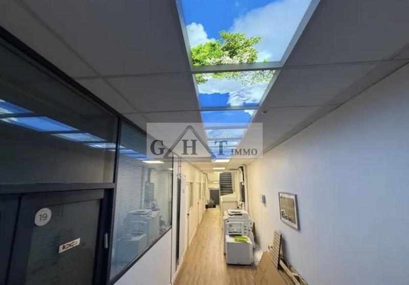 Bureau - 548 m²