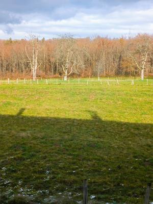 Ferme - 111 m² - 5 pièces