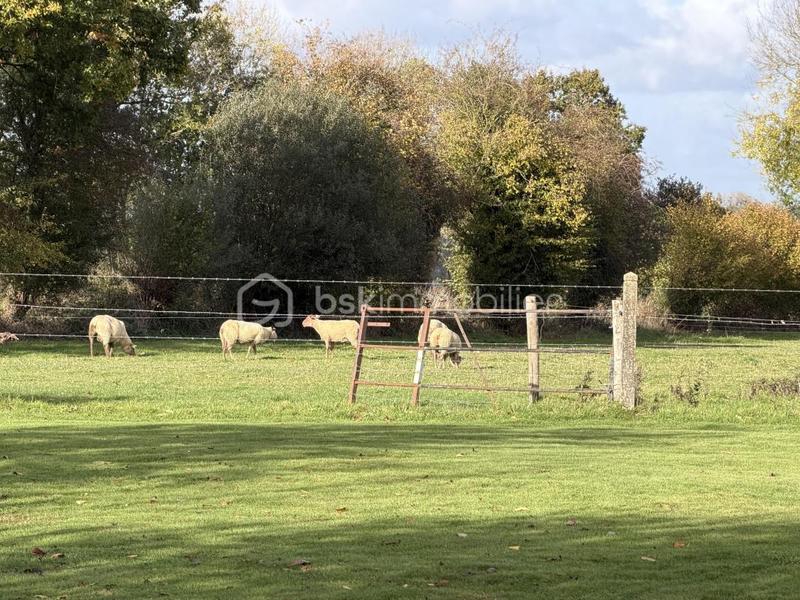 Maison - 105 m² - 6 pièces